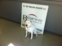 Macie, The Ridgeway Greeter